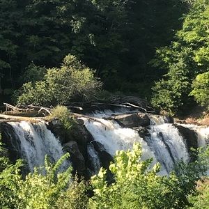 Meet your Posher, Dylan